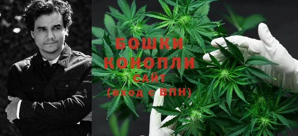 спиды Аркадак