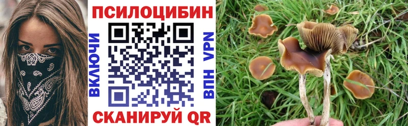 Галлюциногенные грибы GOLDEN TEACHER  KRAKEN маркетплейс  это Telegram  Ртищево 